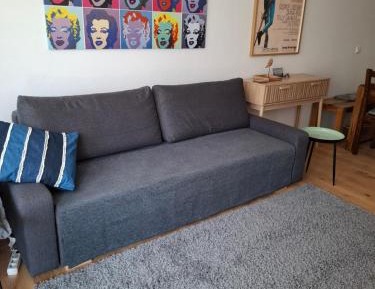 One-Bedroom Apartment with View