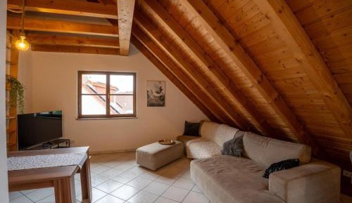 Duplex Apartment