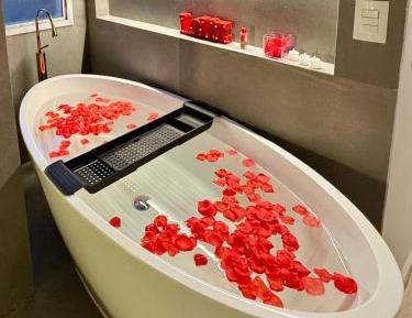 One-Bedroom Apartment with Spa Bath