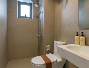 Deluxe Double or Twin Room with City View