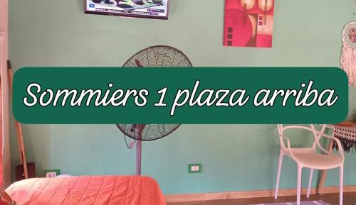 Studio Apartment (No Kitchen)