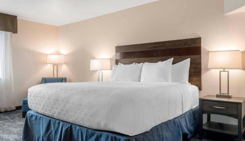 Standard King Room with Shower - Non-Smoking