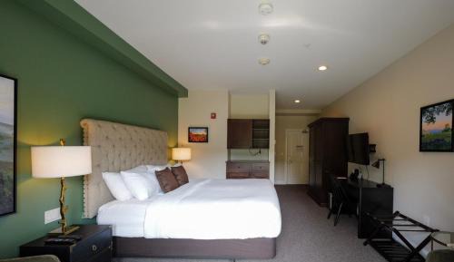 River View Handicap Accessible King Room