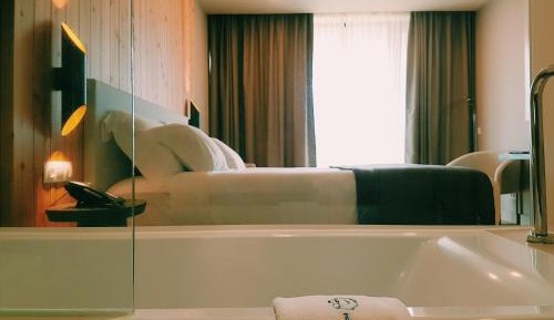 Double Room with Mountain View