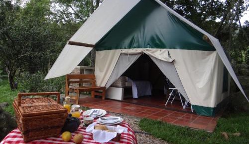 Tent