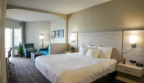 Deluxe View King Suite