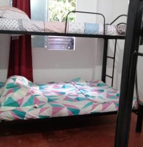 4-Bed Mixed Dormitory Room