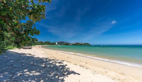 Standard Twin Room with Garden View