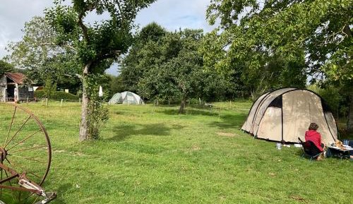 Tent