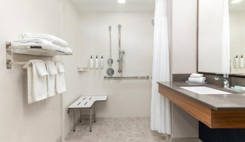 King Studio - Mobility Accessible with Roll-in Shower