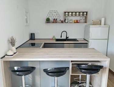 Deluxe One-Bedroom Apartment