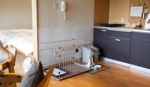 Doggy Cottage