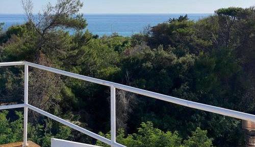 Double Room with Terrace