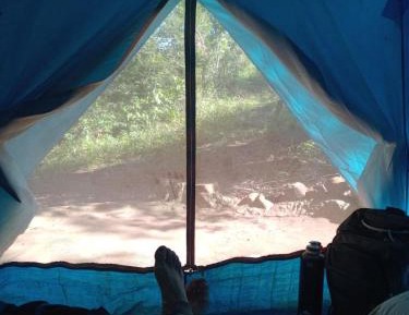 Tent