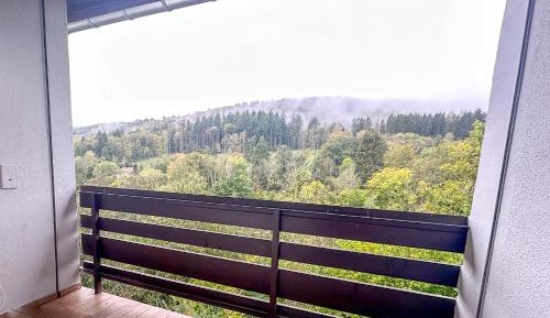 Double Room with Balcony
