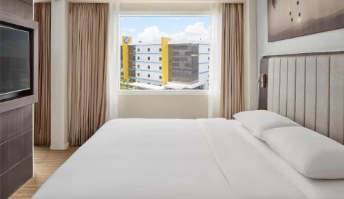 One Bedroom Suite