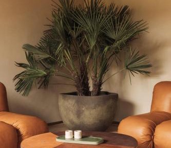 Suite with Garden View