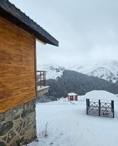 One-Bedroom Chalet