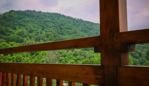 Double Room with Mountain View
