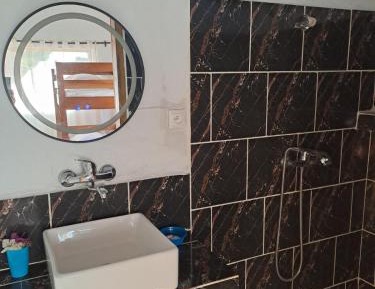 Bunk Bed in Mixed Dormitory Room