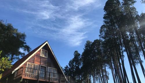 Cabin 1