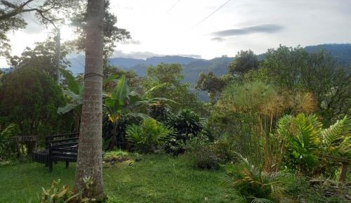 Double Room with Park View