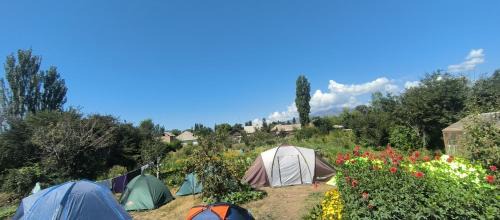 Tent