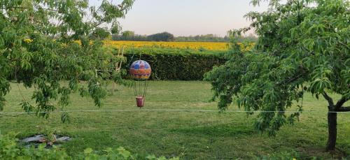 King Room with Garden View