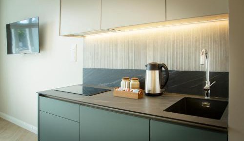 Deluxe One-Bedroom Apartment with City View