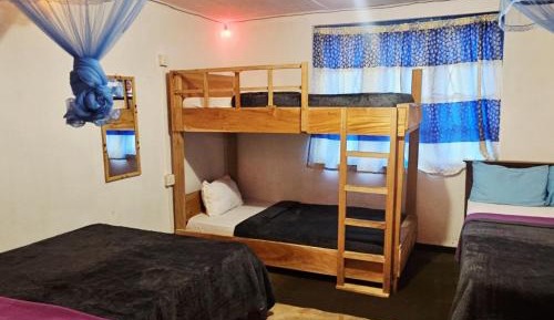 Bunk Bed in Female Dormitory Room  