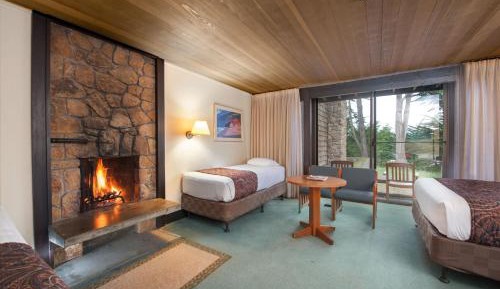 Premium Room with Multiple Beds