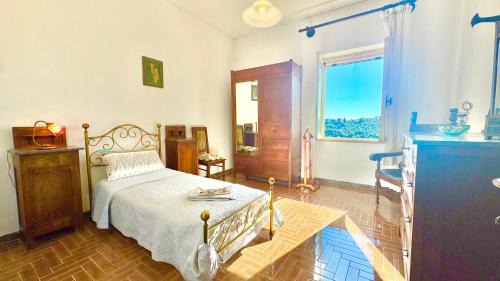 Standard Single Room with Mountain View