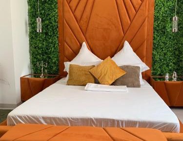 Deluxe One-Bedroom Apartment