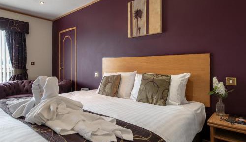 Deluxe Double or Twin Room with River View