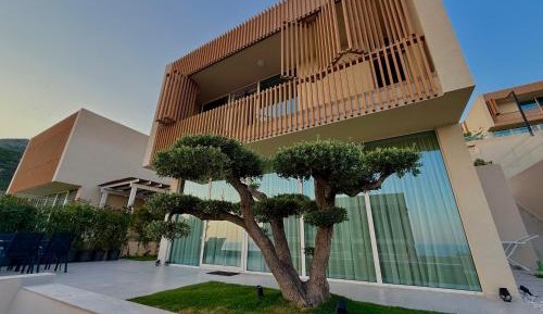 One-Bedroom Villa