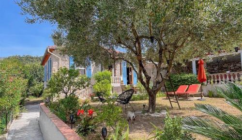 King Room with Garden View