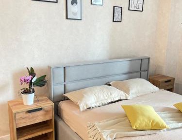 One-Bedroom Standard Apartment