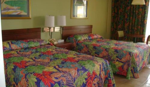 Double Room with Two Double Beds
