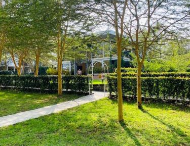 King Room with Garden View