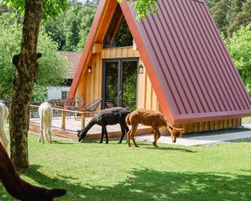 One-Bedroom Chalet