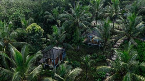Cabin with Free Daily Balinese Experience