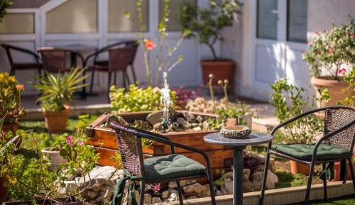 Studio with Garden View