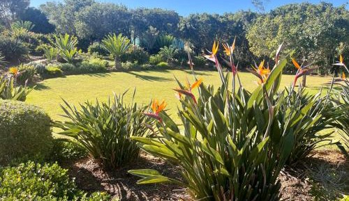Double Room with Garden View