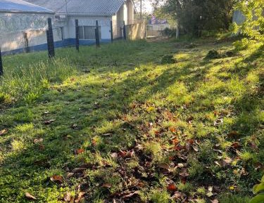 Empty Lot