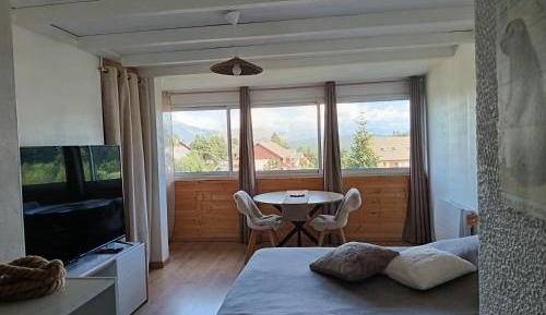 Studio with Mountain View