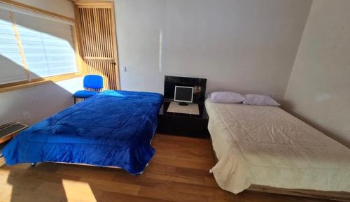 Comfort Quadruple Room