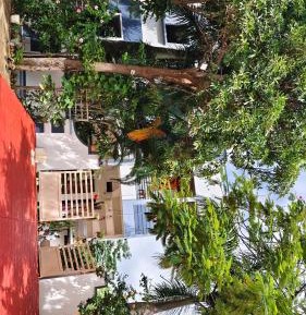 Triple Room with Garden View