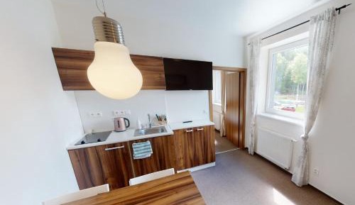 One-Bedroom Family Apartment