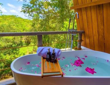 Double Room with Garden View