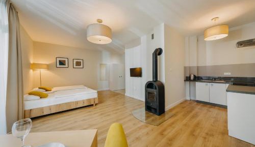 Comfort Studio Apartment (1-2 Adults)